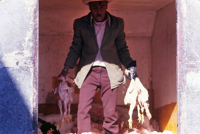 manwithchickens.jpg