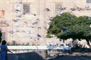 pigeons.jpg