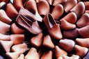 shoes.jpg