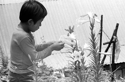boyandlillies.jpg