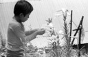 boyandlillies.jpg