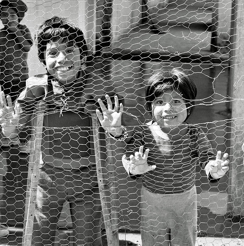 boysbehindfence.jpg