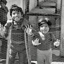 boysbehindfence.jpg