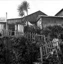 housefences.jpg
