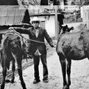 mantwoburros.jpg