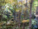 IMG_7065 -Large.jpg