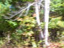 IMG_7077 -Large.jpg