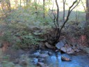 IMG_7157 -Large.jpg
