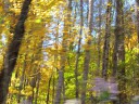 IMG_7239 -Large.jpg