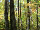 IMG_7311 -Large.jpg