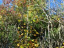 IMG_7329 -Large.jpg