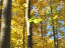 IMG_7334 -Large.jpg
