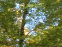 IMG_7359 -Large.jpg