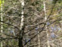 IMG_7379 -Large.jpg