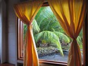 View from the window at KoKo Resort Seahorse Cabin