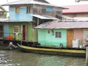 The neighborhood of Saigon Bay, Isla Colon