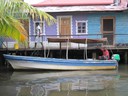 Tropical colors inspire paint colors