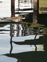 Water reflections