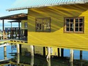 Morning sun lights up the yellow cabins at KoKo Resort