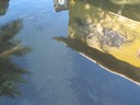 Water reflections