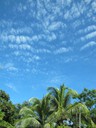 A mackerel sky