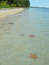 Starfish Beach