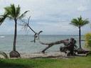 Scene at Boca del Drago