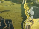Water reflections
