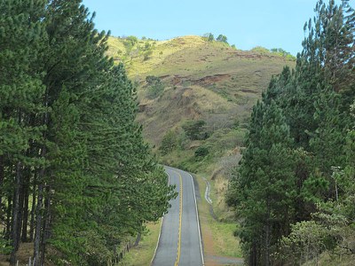 IMG_1192.jpg