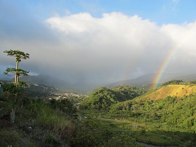 IMG_4331.jpg