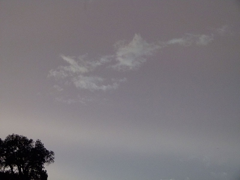 P1040401.jpg