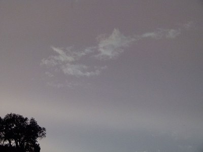 P1040401.jpg