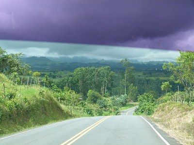 P1060582.jpg