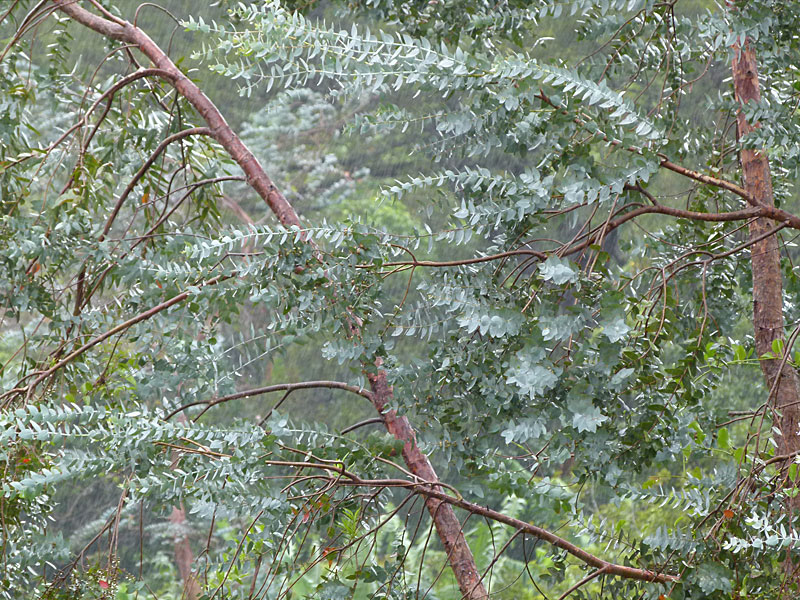 P1080172.jpg