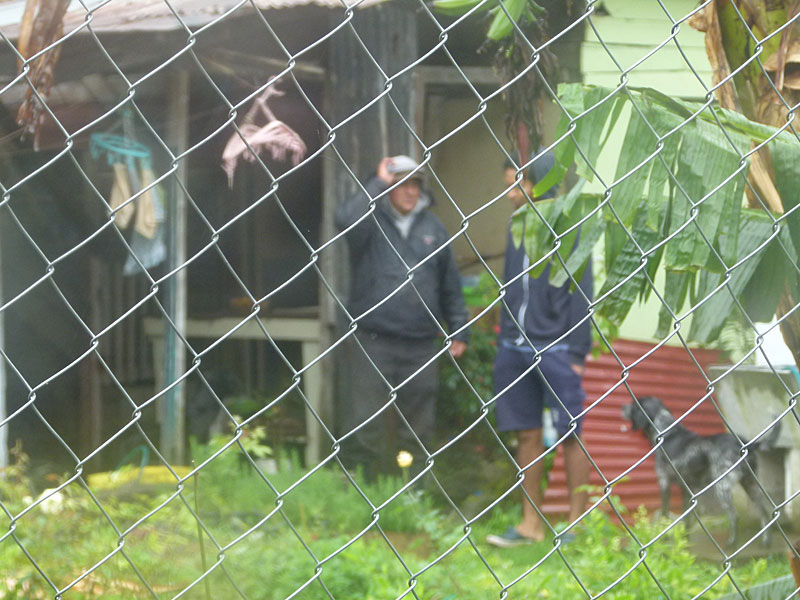 P1090126.jpg