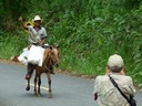 Neighbor on horseback