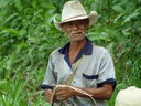 Panamanian horseman