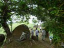 Most of the boulders are in their original locations