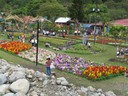 Coffee and Flower Fair, Boquete