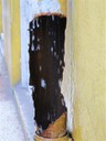 Broken Pipe dripping