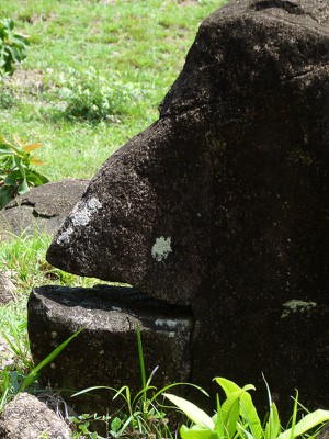 Monkey face rock