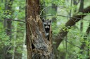 DSC_0305.JPG