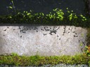 IMG_1195.JPG