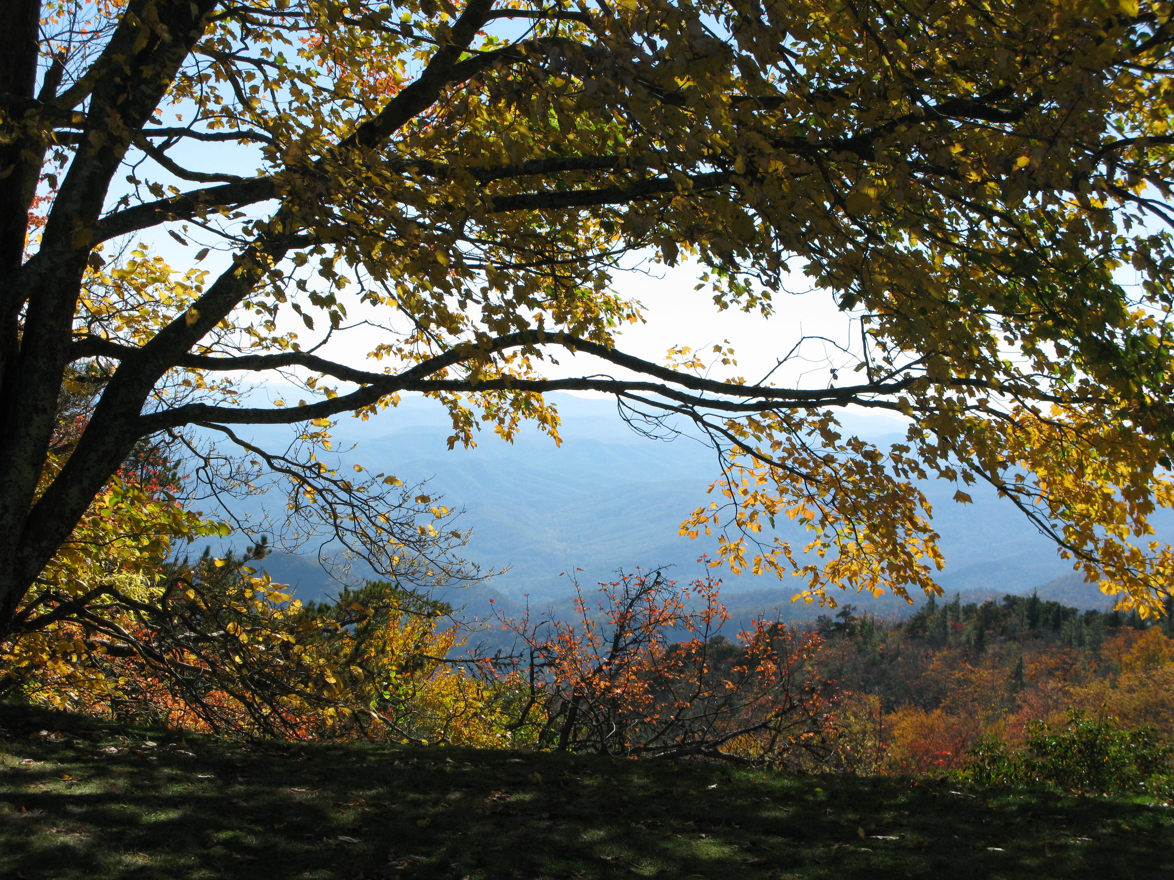 Blue Ridge Parkway