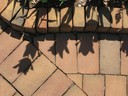 IMG_6221.JPG