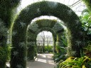 Daniel Stowe Botanical Garden