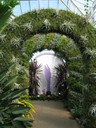 IMG_6283.JPG