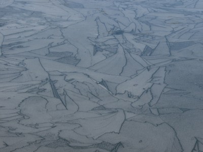 P2015006.JPG