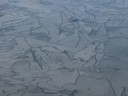 P2015006.JPG