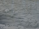 Lake Ice